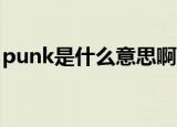 punk是什么意思啊 新闻（punk是什么意思）