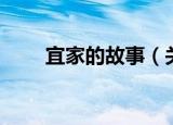宜家的故事（关于宜家的故事介绍）
