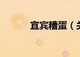 宜宾糟蛋（关于宜宾糟蛋介绍）