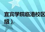 宜宾学院临港校区（关于宜宾学院临港校区介绍）