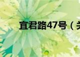 宜君路47号（关于宜君路47号介绍）