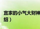 宜家的小气大财神（关于宜家的小气大财神介绍）