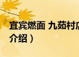 宜宾燃面 九茹村店（关于宜宾燃面 九茹村店介绍）