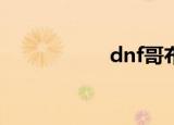 dnf哥布林（dnfge）