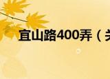 宜山路400弄（关于宜山路400弄介绍）