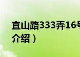 宜山路333弄16号（关于宜山路333弄16号介绍）