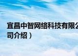 宜昌中智网络科技有限公司（关于宜昌中智网络科技有限公司介绍）