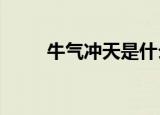 牛气冲天是什么生肖?（牛气冲天）