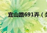 宜山路691弄（关于宜山路691弄介绍）