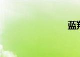 蓝翔思富txt
