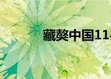藏獒中国114网（中华藏獒网）