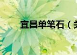 宜昌单笔石（关于宜昌单笔石介绍）