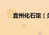 宜州化石馆（关于宜州化石馆介绍）