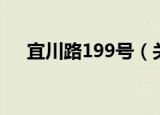 宜川路199号（关于宜川路199号介绍）