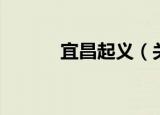 宜昌起义（关于宜昌起义介绍）