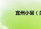 宜州小舅（关于宜州小舅介绍）
