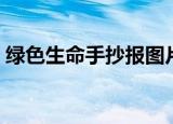 绿色生命手抄报图片简单又漂亮（绿色生命）