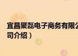 宜昌聚磊电子商务有限公司（关于宜昌聚磊电子商务有限公司介绍）