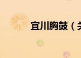 宜川胸鼓（关于宜川胸鼓介绍）