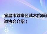 宜昌市猇亭区武术跆拳道协会（关于宜昌市猇亭区武术跆拳道协会介绍）