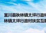 宜川县秋林镇太坪行政村扶贫互助资金协会（关于宜川县秋林镇太坪行政村扶贫互助资金协会介绍）