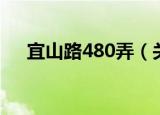 宜山路480弄（关于宜山路480弄介绍）