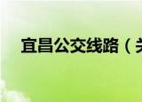 宜昌公交线路（关于宜昌公交线路介绍）