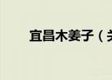 宜昌木姜子（关于宜昌木姜子介绍）