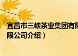 宜昌市三峡茶业集团有限公司（关于宜昌市三峡茶业集团有限公司介绍）
