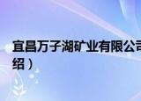 宜昌万子湖矿业有限公司（关于宜昌万子湖矿业有限公司介绍）