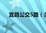 宜昌公交5路（关于宜昌公交5路介绍）