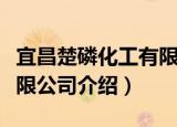 宜昌楚磷化工有限公司（关于宜昌楚磷化工有限公司介绍）