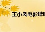王小凤电影哔哩哔哩（王小凤电影）