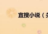 宜搜小说（关于宜搜小说介绍）