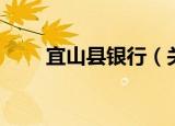 宜山县银行（关于宜山县银行介绍）