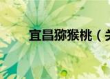 宜昌猕猴桃（关于宜昌猕猴桃介绍）