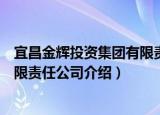 宜昌金辉投资集团有限责任公司（关于宜昌金辉投资集团有限责任公司介绍）