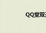 QQ堂双开（双人qq堂）