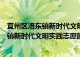 宜州区洛东镇新时代文明实践志愿服务队（关于宜州区洛东镇新时代文明实践志愿服务队介绍）