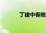丁建中春晚魔术（春晚 魔术）