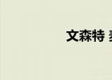 文森特 麦克（文麦森）