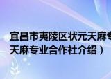 宜昌市夷陵区状元天麻专业合作社（关于宜昌市夷陵区状元天麻专业合作社介绍）