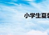 小学生夏装（夏季学生装）