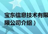 宝东信息技术有限公司（关于宝东信息技术有限公司介绍）