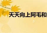天天向上阿毛和师傅（天天向上 阿毛）
