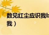 数见红尘应识我by雏微简介（数见红尘应识我）