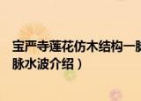宝严寺莲花仿木结构一脉水波（关于宝严寺莲花仿木结构一脉水波介绍）