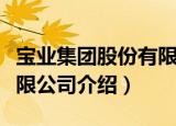 宝业集团股份有限公司（关于宝业集团股份有限公司介绍）