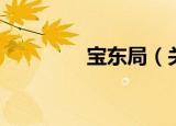 宝东局（关于宝东局介绍）