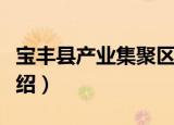 宝丰县产业集聚区（关于宝丰县产业集聚区介绍）